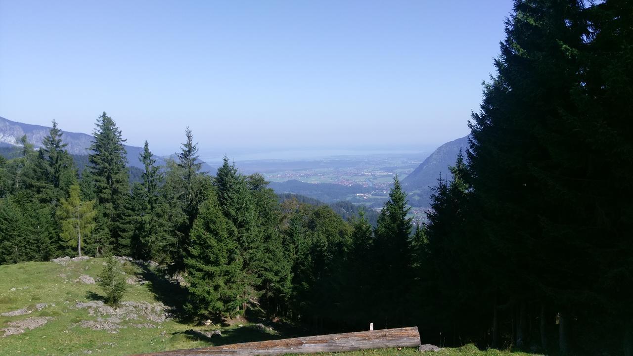 Theresenhof Reit im Winkl Exterior foto
